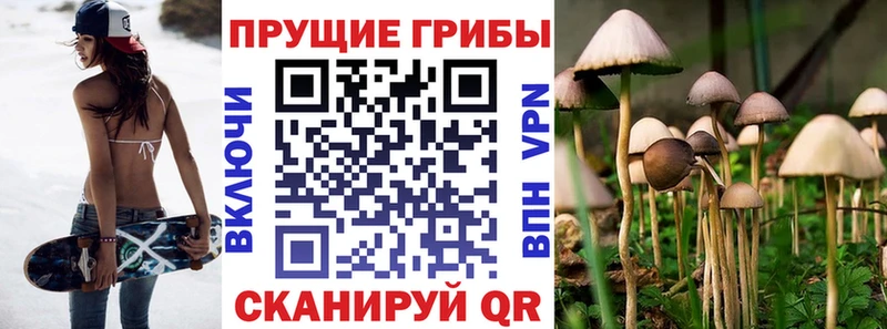 хочу   Староминская  Псилоцибиновые грибы мухоморы 