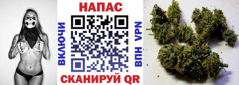 Конопля SATIVA & INDICA  купить   Староминская 